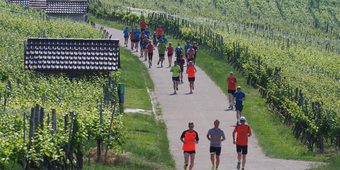 Bottwartal Marathon in Steinheim an der Murr